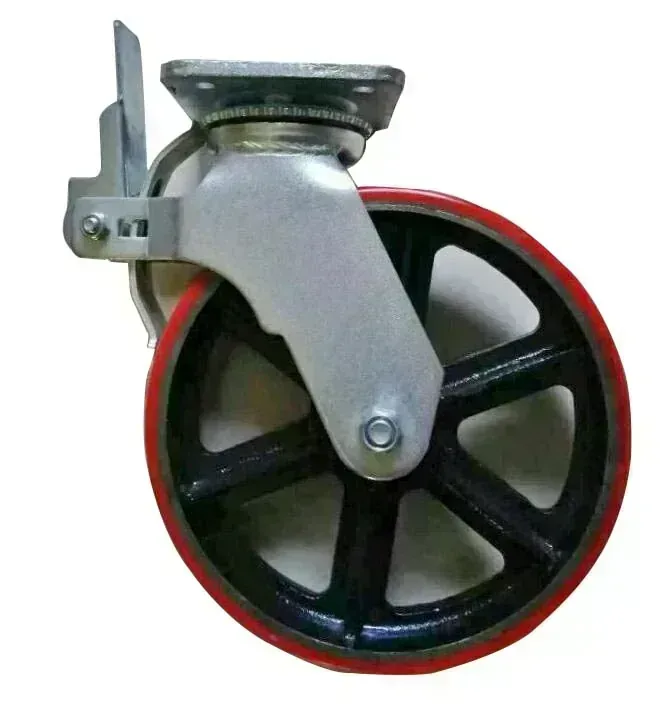 RODÍZIO 12