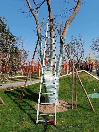 telescopic ladder (2) telescopic ladder